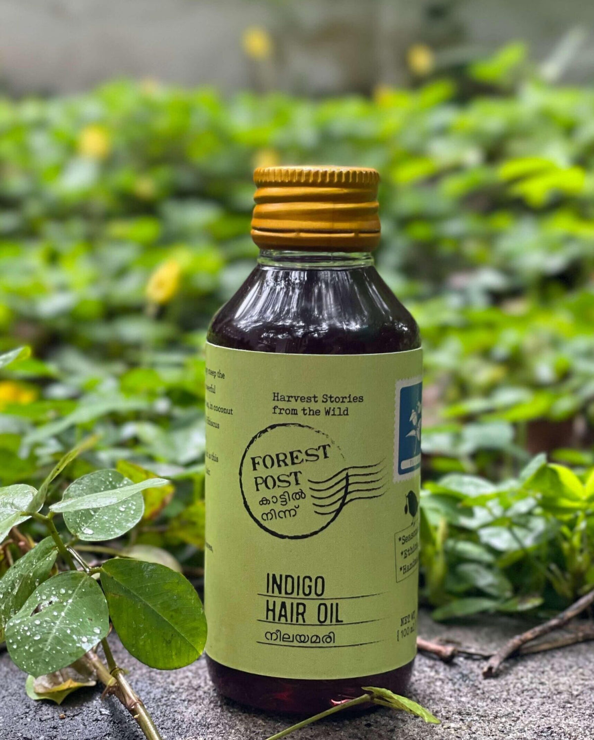 Forest Post Indigo Hair Oil bottle, front of pack