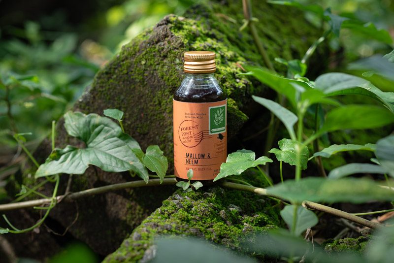 Forest Post Mallow and Neem hair oil in sesame oil, second brand photograph