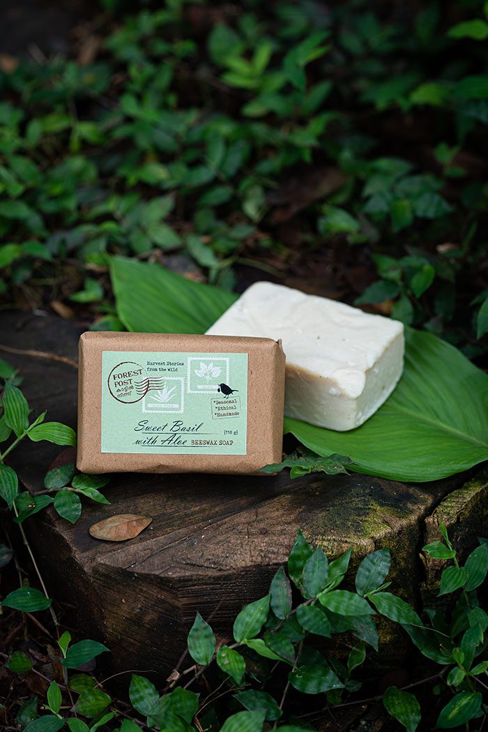 Forest Post Sweet Basil with Aloe beeswax soap bar, brand product photograph