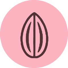 Seeds & Nuts