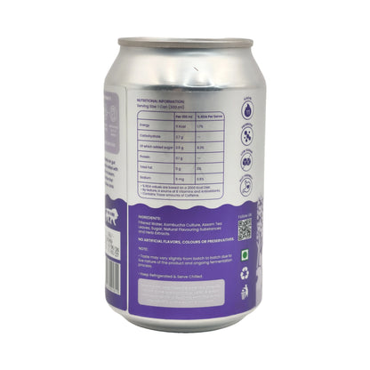 Assamé Kombucha