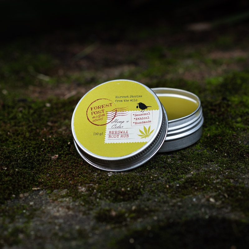 purepicked Forest Post cedar hemp body rub, a waterless balm on olive, castor and hemp seed oils