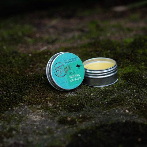 Forest Post lip balm, open tin with a teal lid, on moss