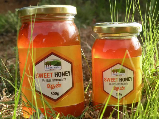 Honey & Dry Grapes | 250g | Aadhimalai — Wild Forest Honey + Raisins