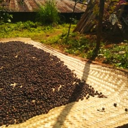 Spices spread out to dry in the sun in the Nilgiris