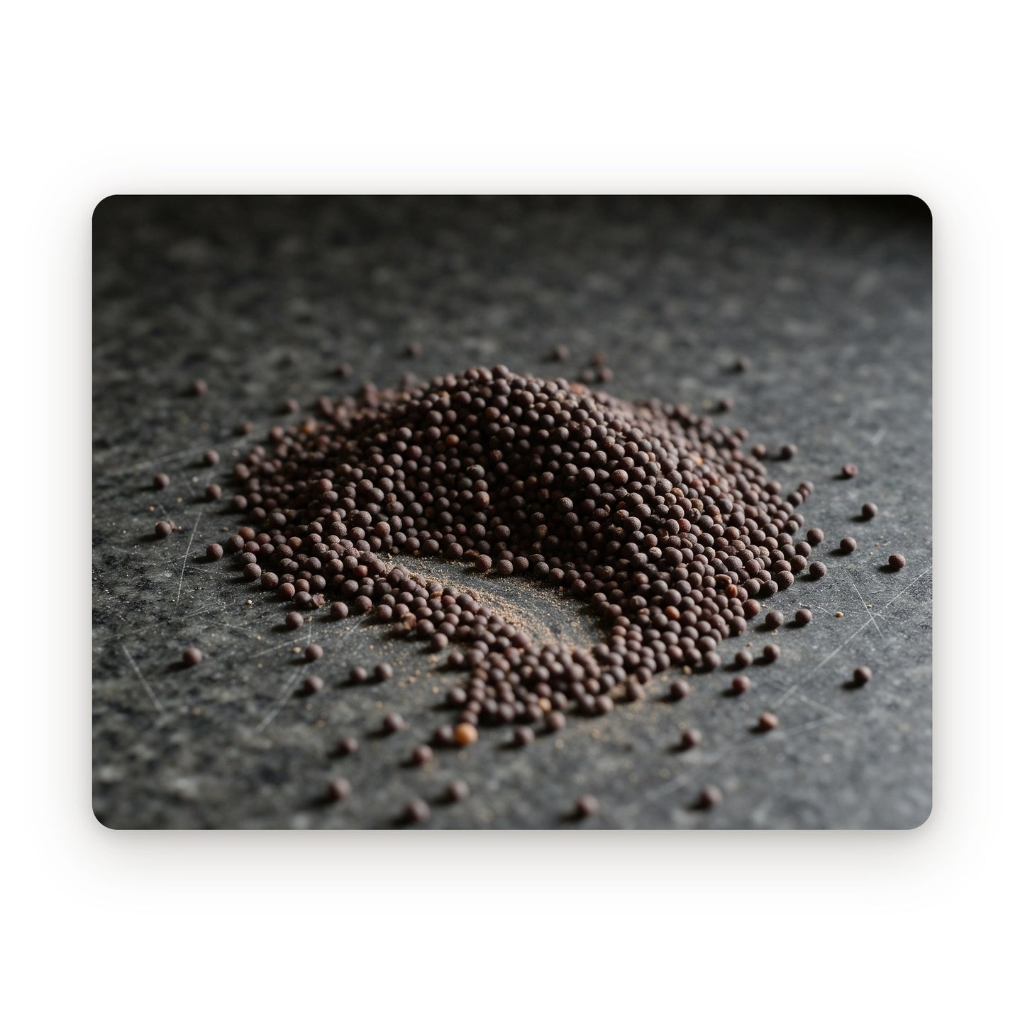 Black mustard seeds, close up