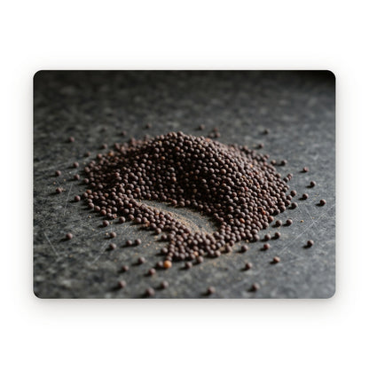 Black mustard seeds, close up