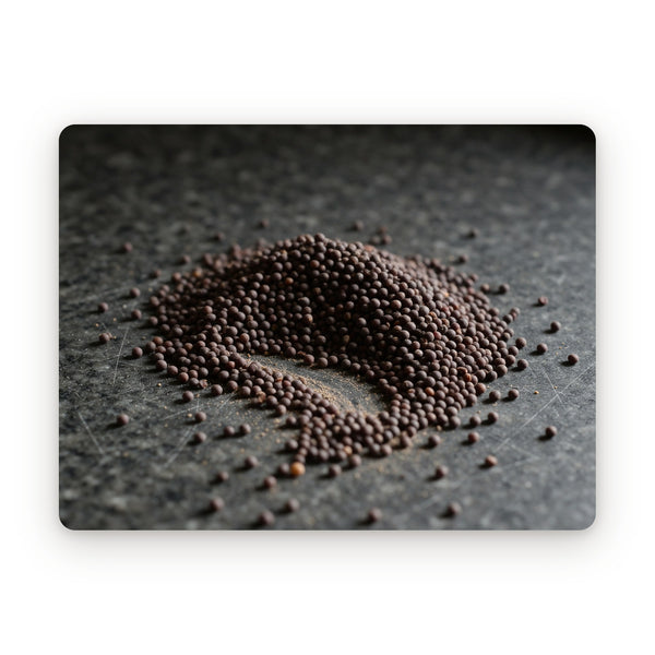 Black mustard seeds, close up