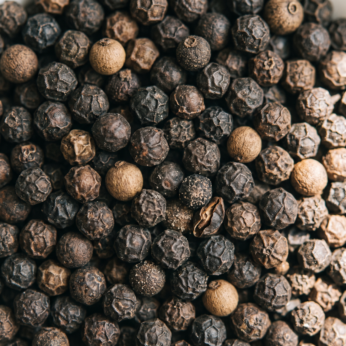 Whole black peppercorns, close-up