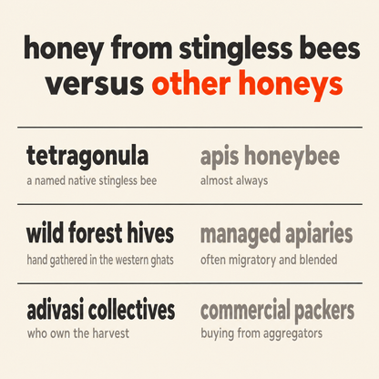 Honey from Stingless Bees versus other honeys: bee, source and producer