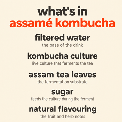 Assamé Kombucha