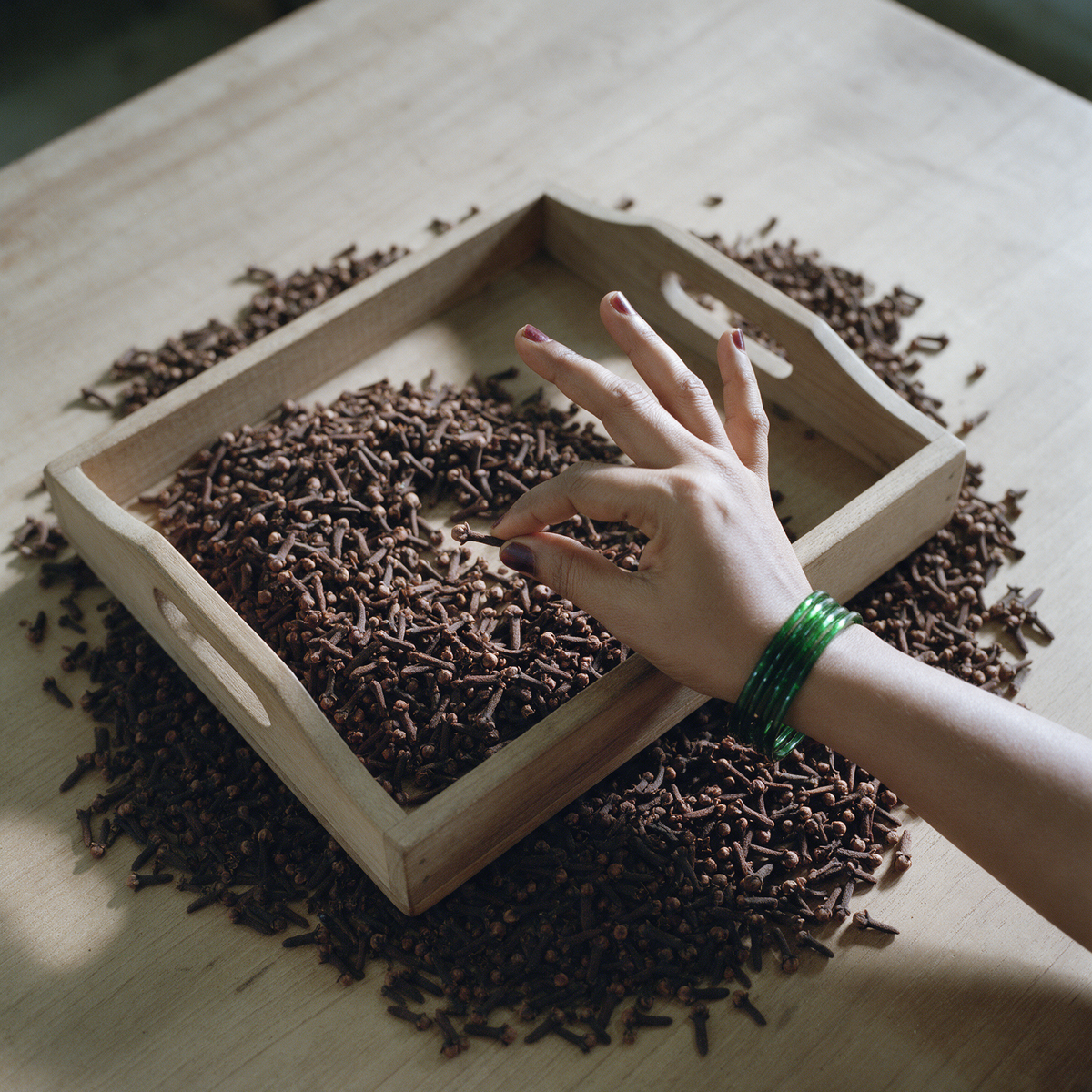 A hand picking a stem out of a drift of dried cloves on a scrubbed teak workbench, with sorted cloves banked into a two-handled teak tray