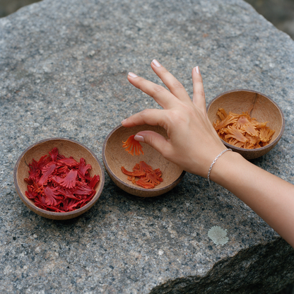 A hand placing a mace blade into the middle of three coconut-shell grading bowls on a granite ledge, the first holding crimson blades and the third palest amber