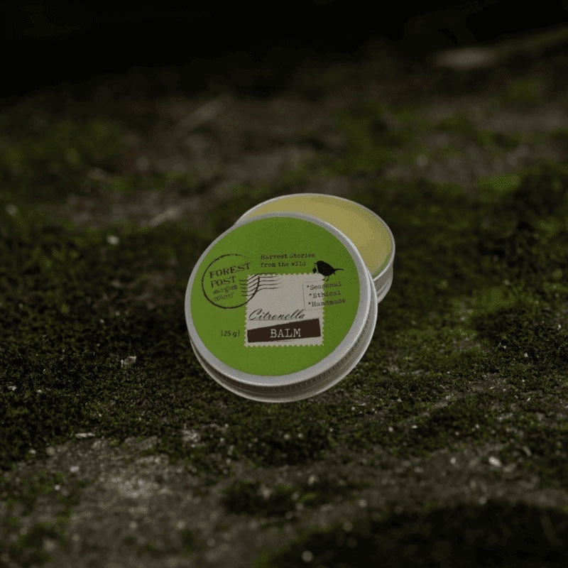 purepicked Citronella Balm in a round metal tin, handmade by Adivasi women's collectives, resting on mossy ground.
