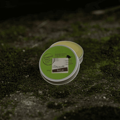 purepicked Citronella Balm in a round metal tin, handmade by Adivasi women's collectives, resting on mossy ground.