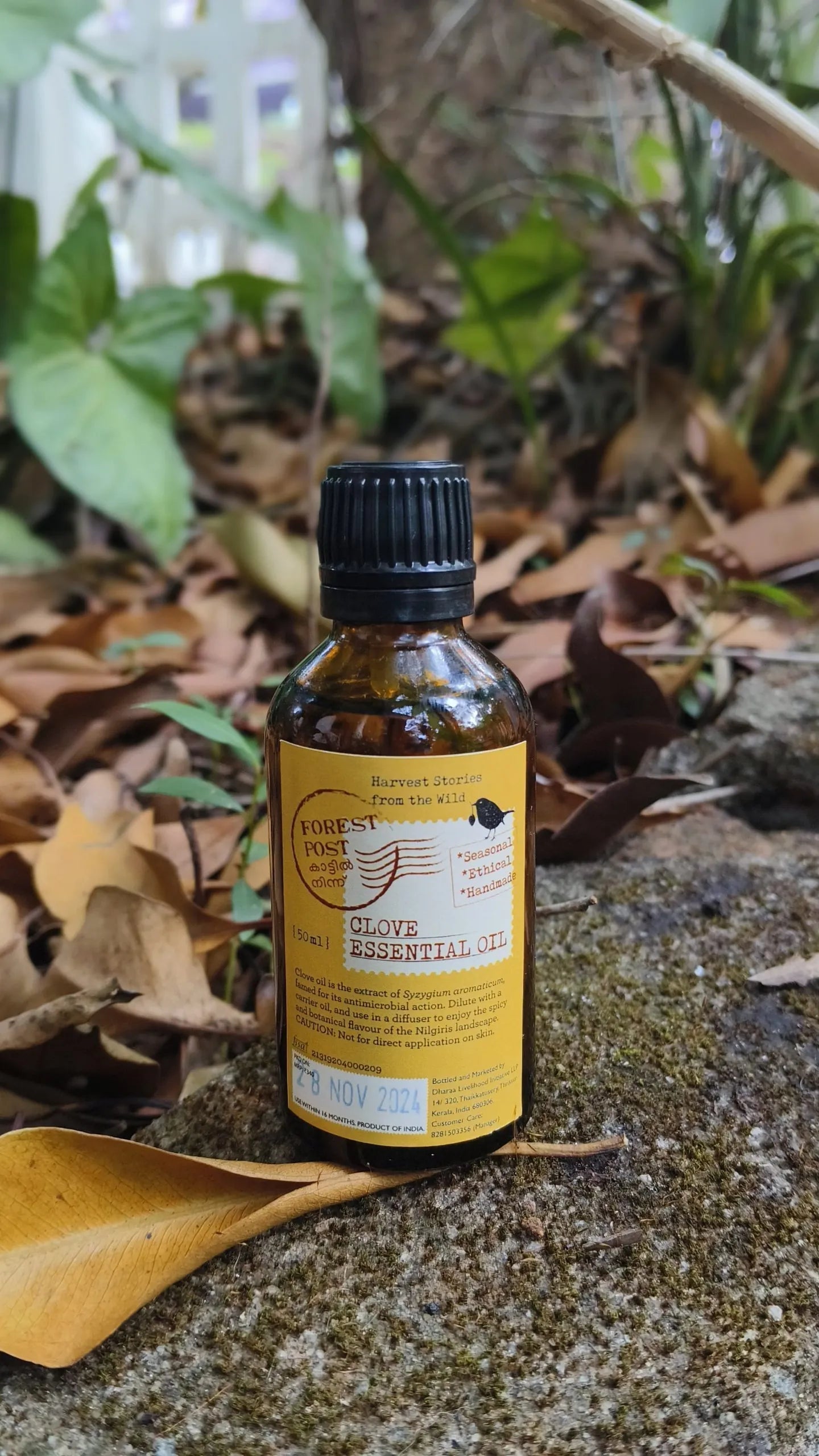 purepicked Clove Essential Oil in an amber glass bottle sitting on a mossy rock surrounded by fallen leaves