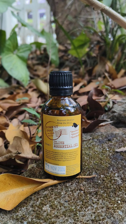 purepicked Clove Essential Oil in an amber glass bottle sitting on a mossy rock surrounded by fallen leaves