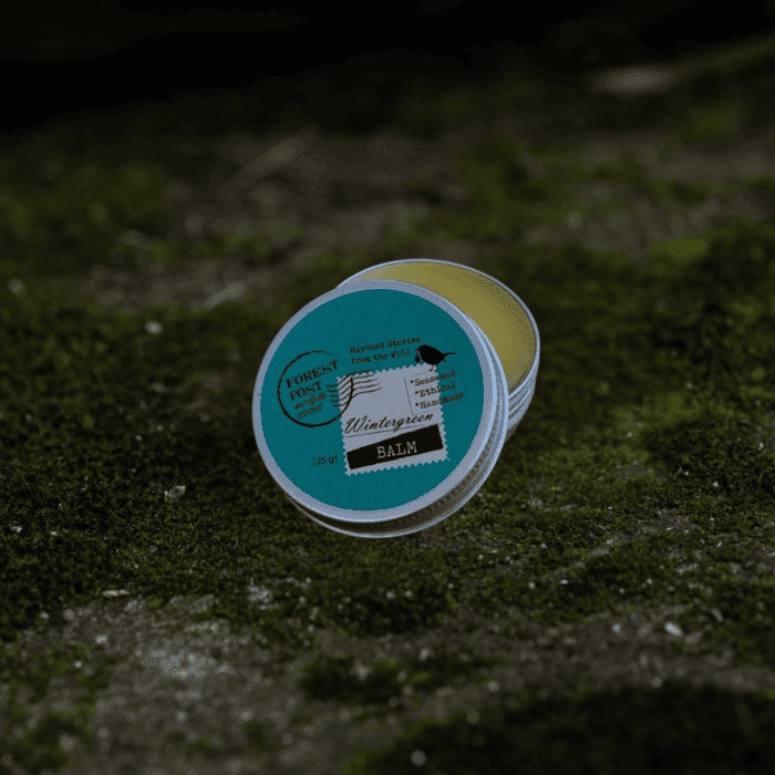 purepicked Wintergreen Balm in a small metal tin with a teal label, resting on a mossy stone surface.