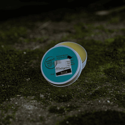 purepicked Wintergreen Balm in a small metal tin with a teal label, resting on a mossy stone surface.